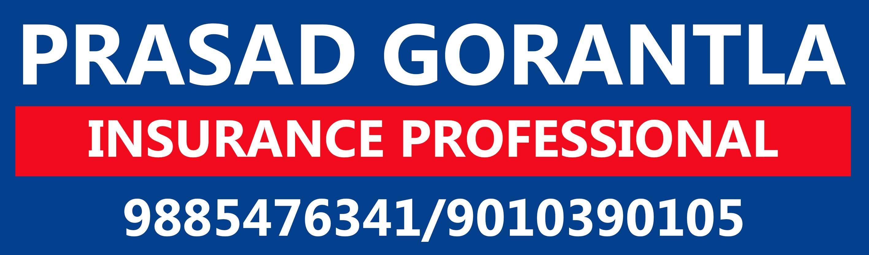 Prasad Gorantla - Sales Manager